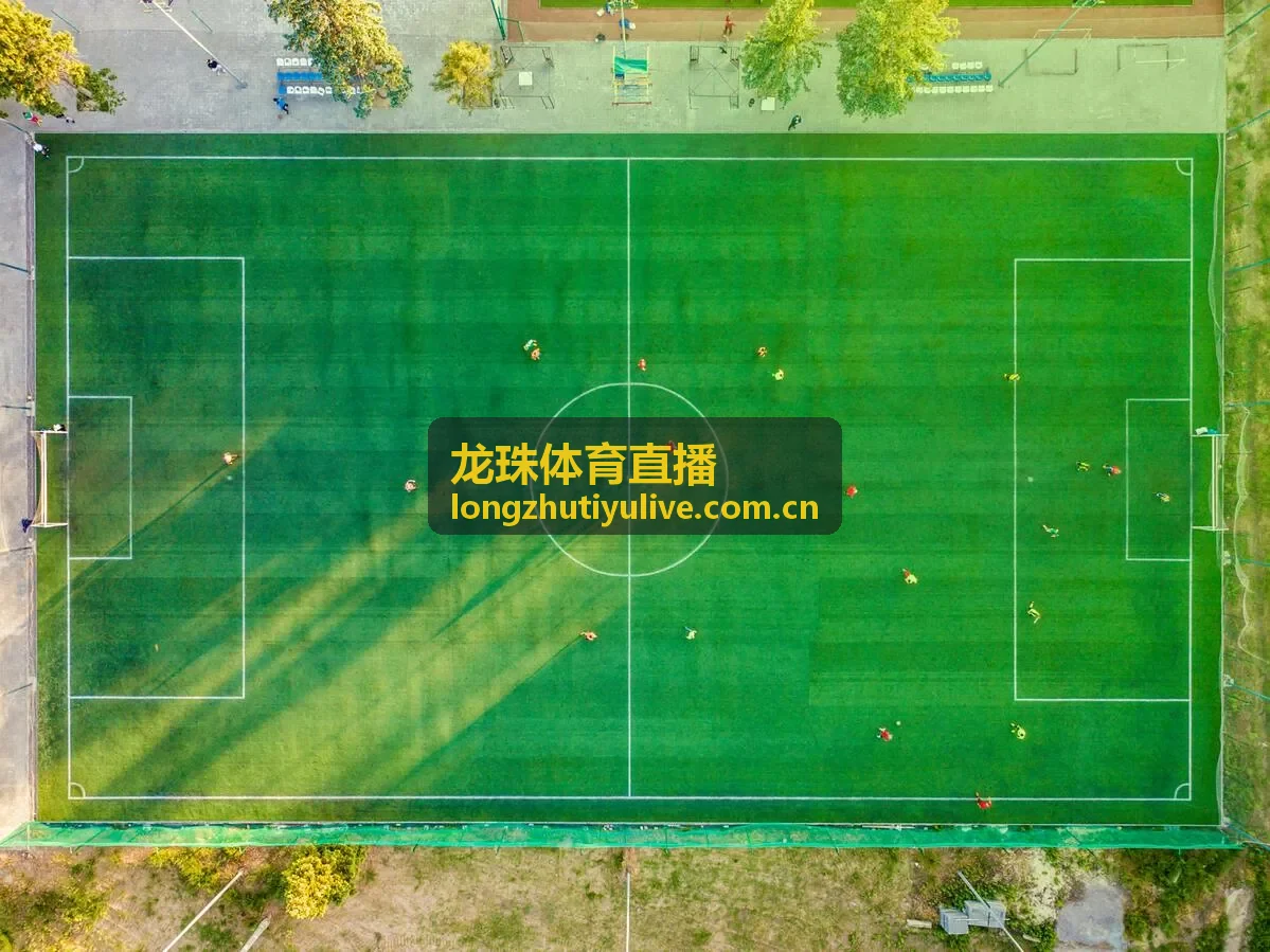 龙珠体育直播篮球集锦-扣篮大赛十佳球