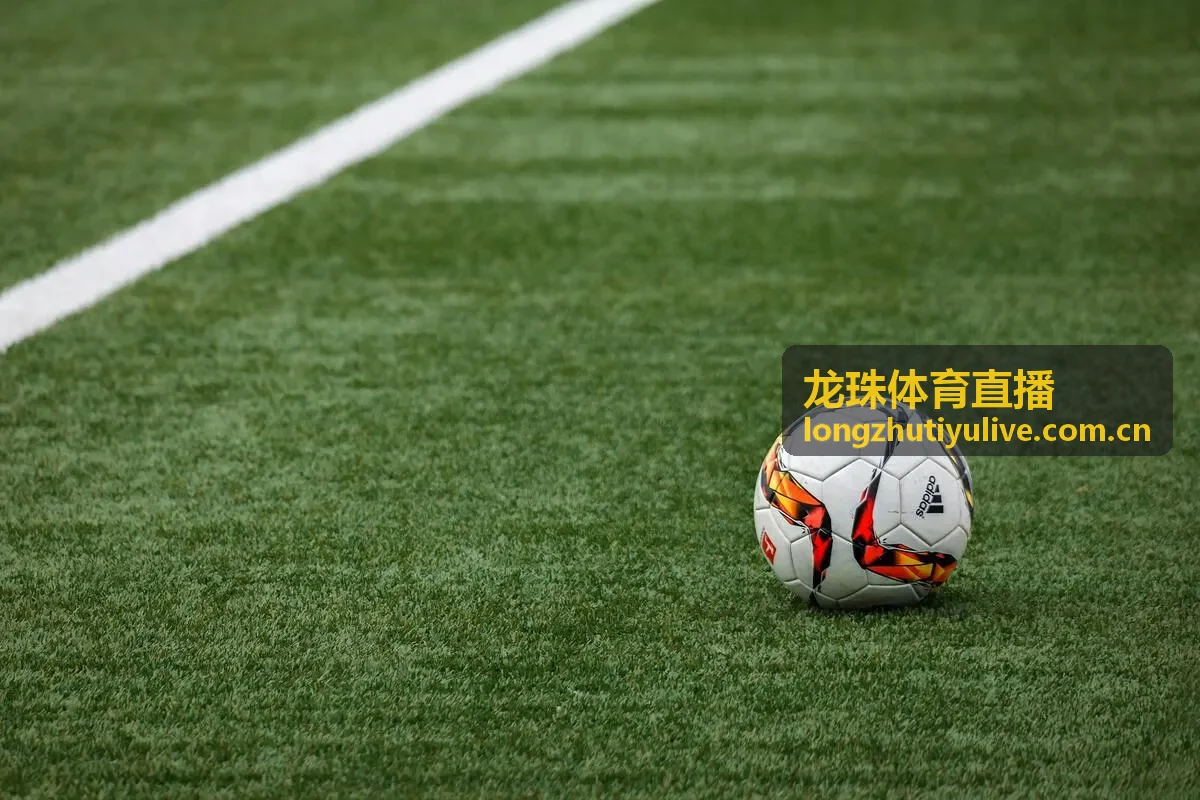 龙珠体育直播篮球排名专题封面